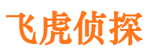 侯马外遇出轨调查取证